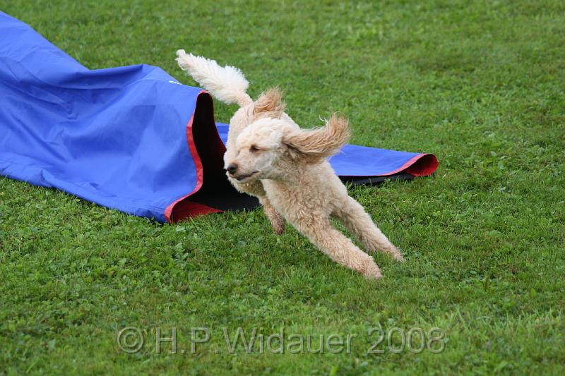 jubil.lusten. 039.jpg